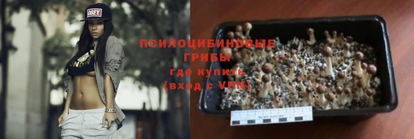 стафф Алексин