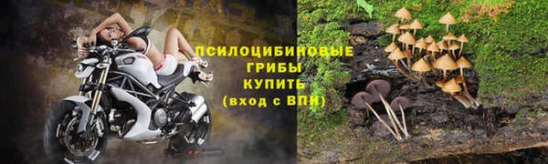 герыч Алексеевка