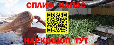 стаф Коммунар