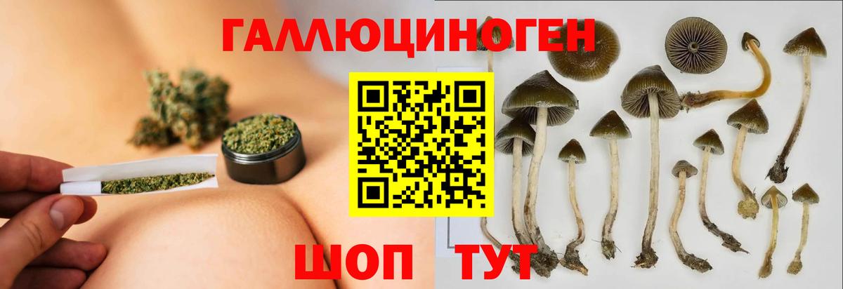 Псилоцибиновые грибы мухоморы Лесной